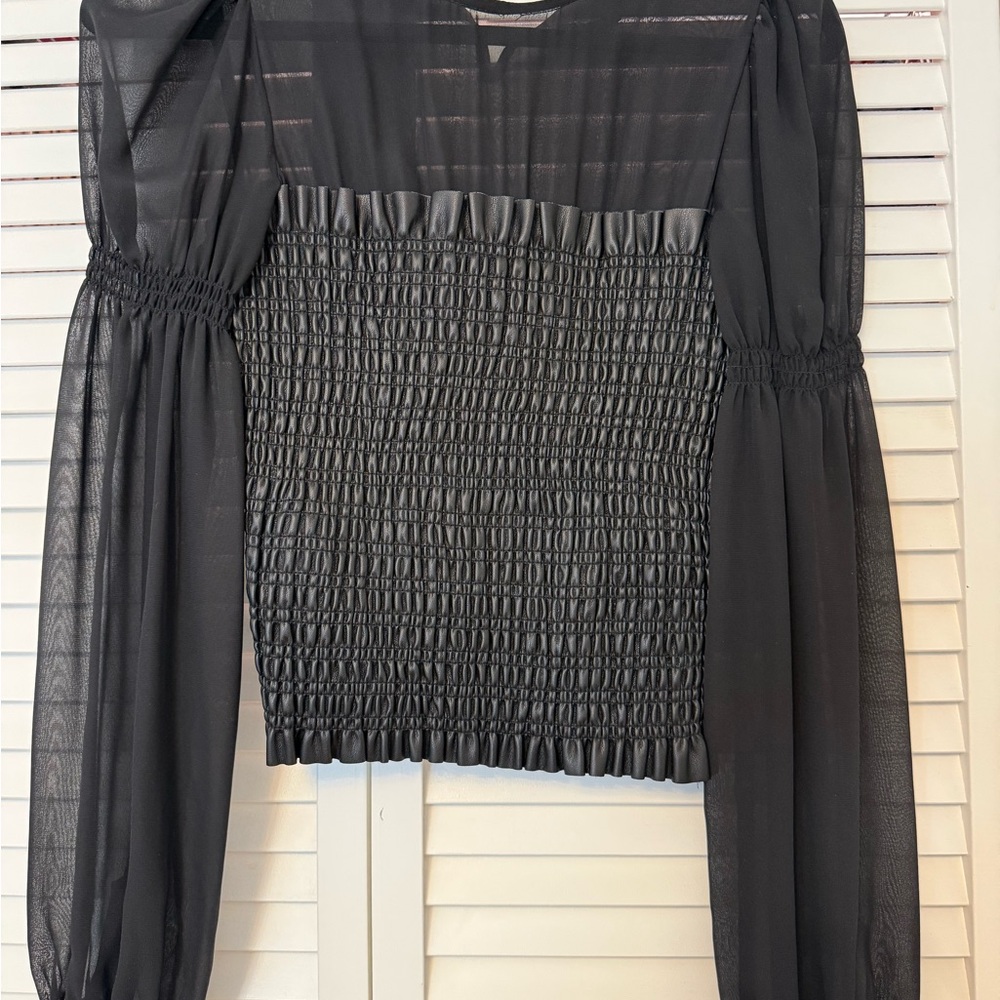 Zara Black Smocked Sheer Long-Sleeve Crop Top
